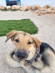 Clyde2