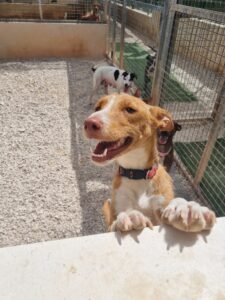 Zoe3