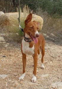 IMG-20250925-WA0013 - Copy