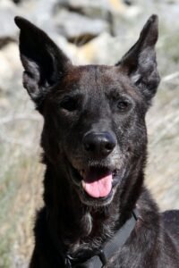 websiteakira_IMG_0710