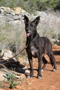 websiteakira_IMG_0770