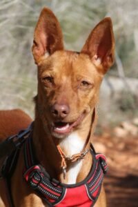 websiteakira_IMG_1285