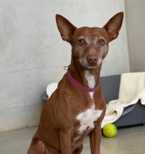 IMG-20260225-WA0023(1)