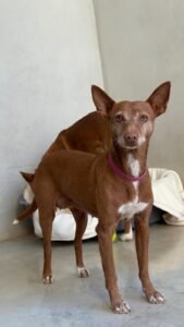 IMG-20260225-WA0024(1)