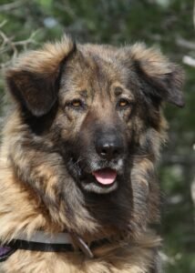deel3akira_IMG_3527
