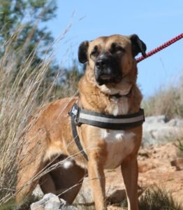 deel3akira_IMG_4832