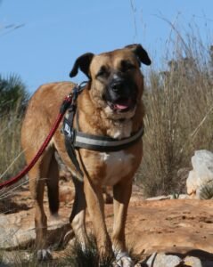 deel3akira_IMG_4925