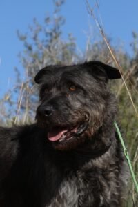 deel3akira_IMG_5055